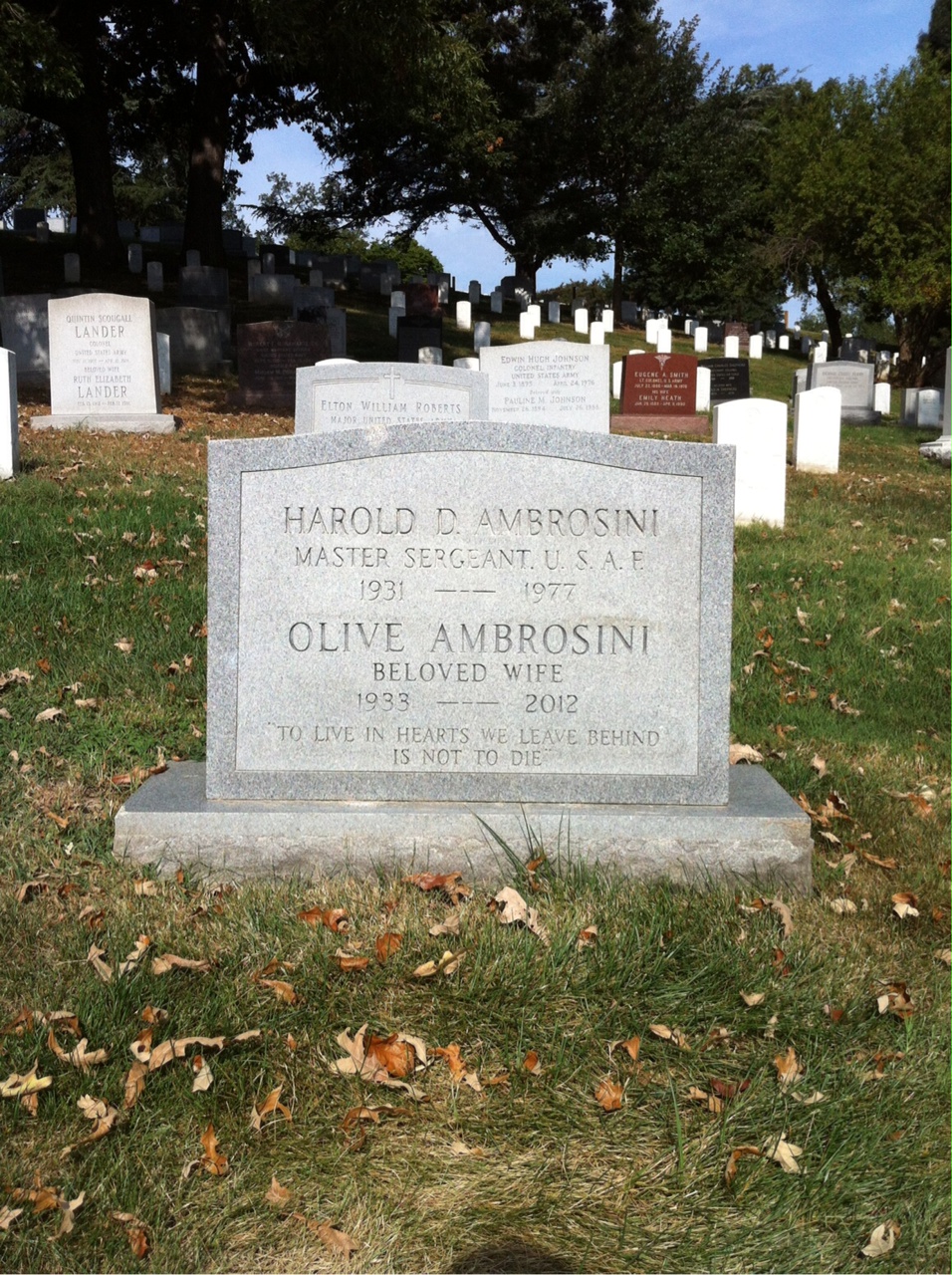 Harold Ambrosini
