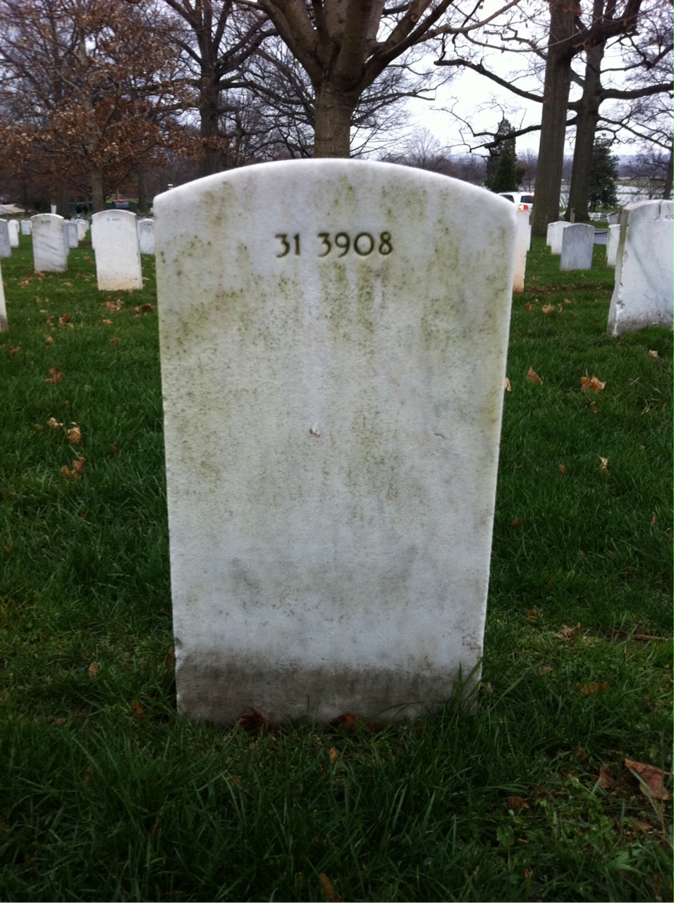 Back of headstone — Elizabeth Moloney