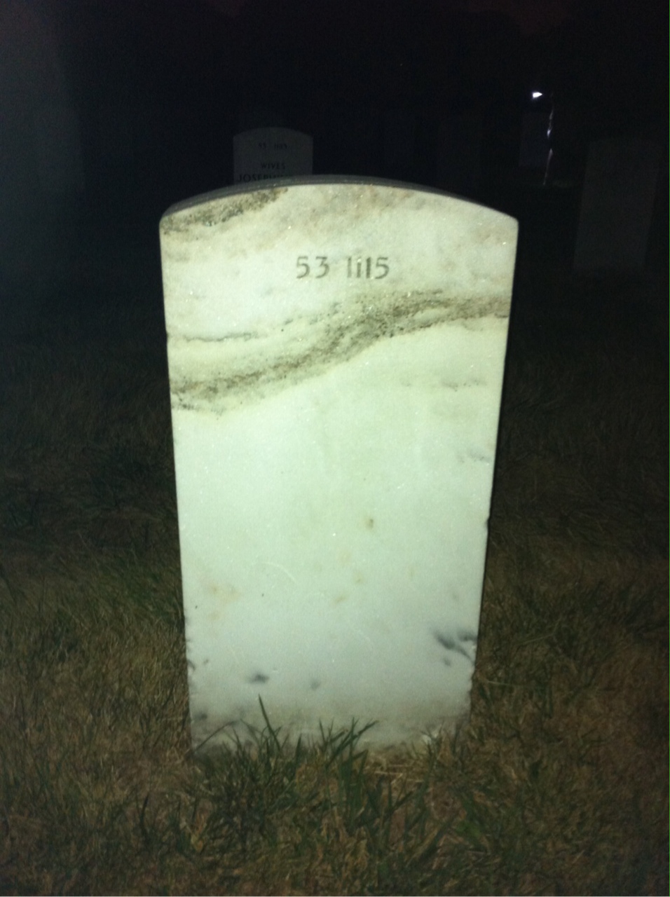 Back of headstone — William Alvis