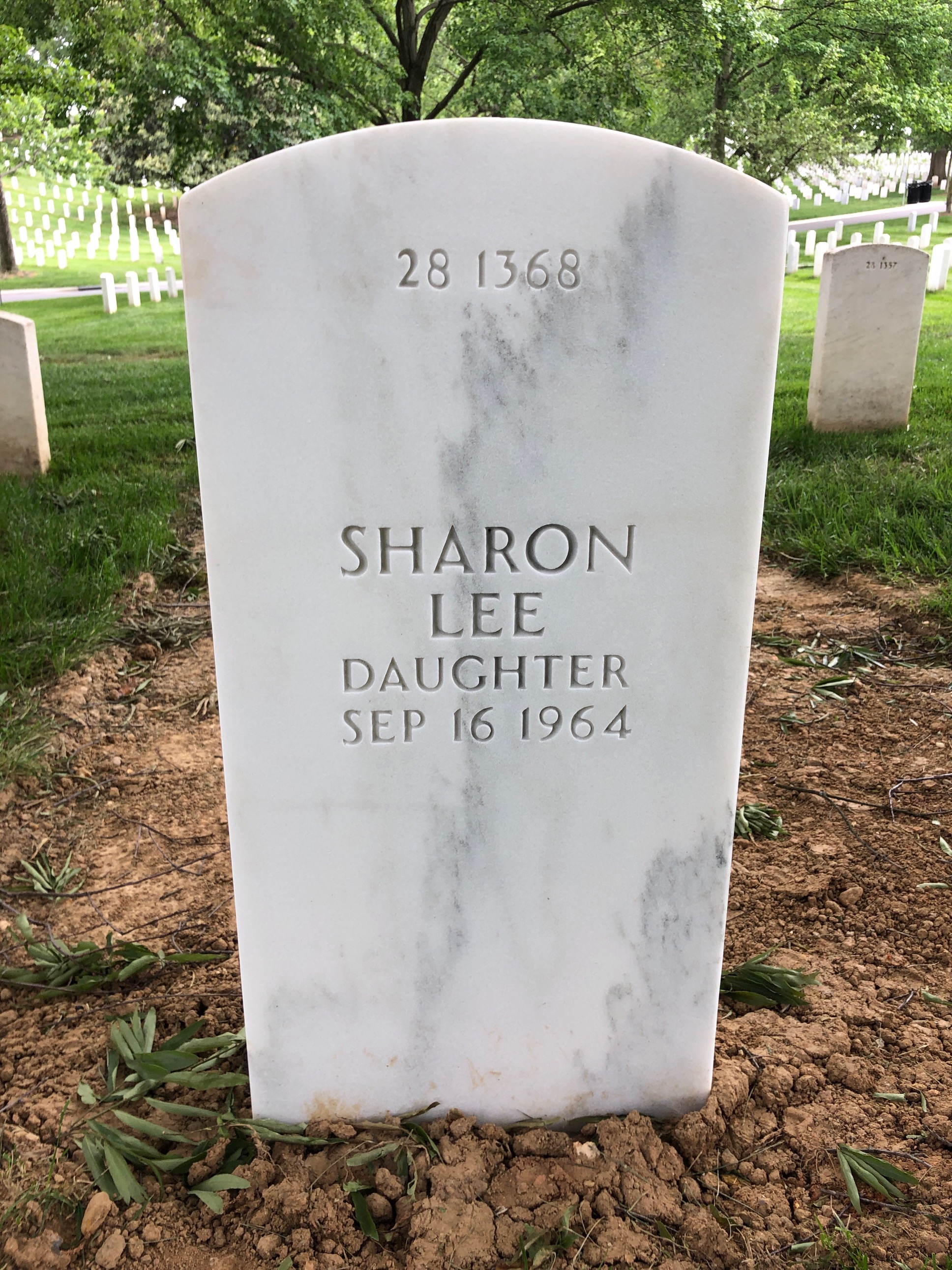 Back of headstone — William True Reddy