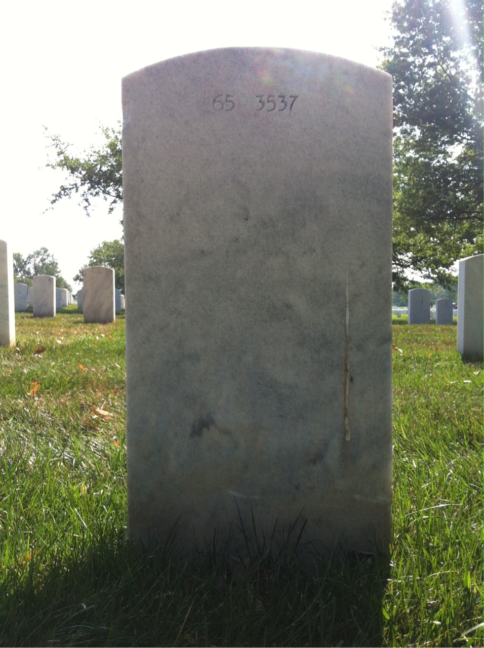 Back of headstone — William Terrell Scott