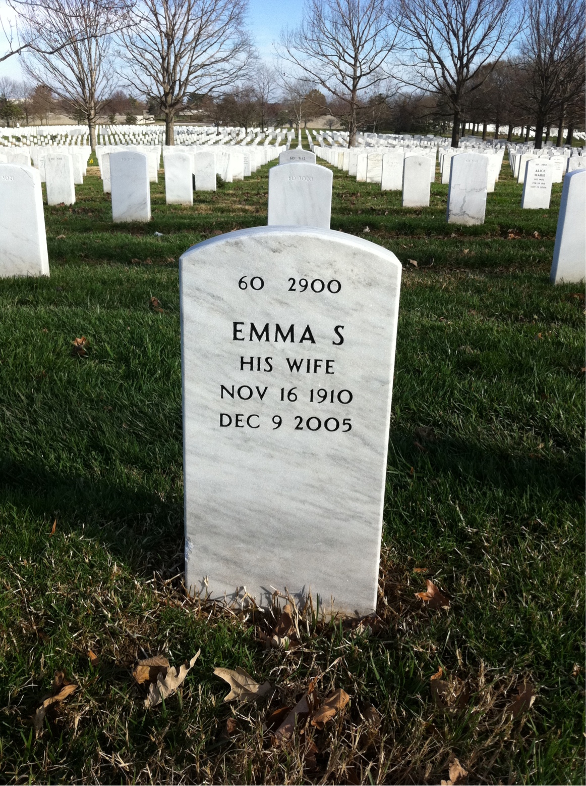 Back of headstone — Albert Molter