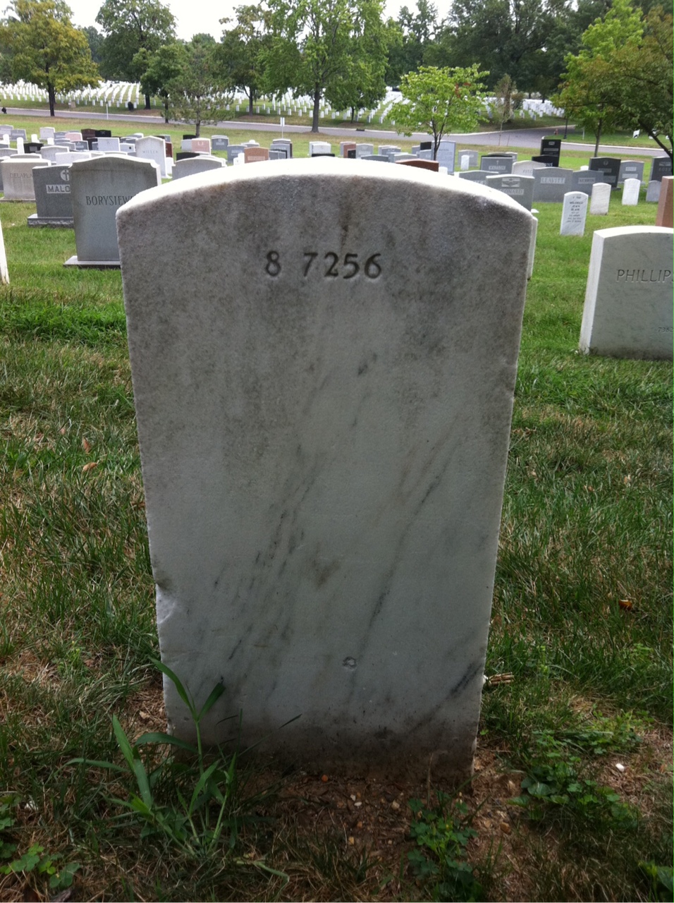 Back of headstone — William Antle