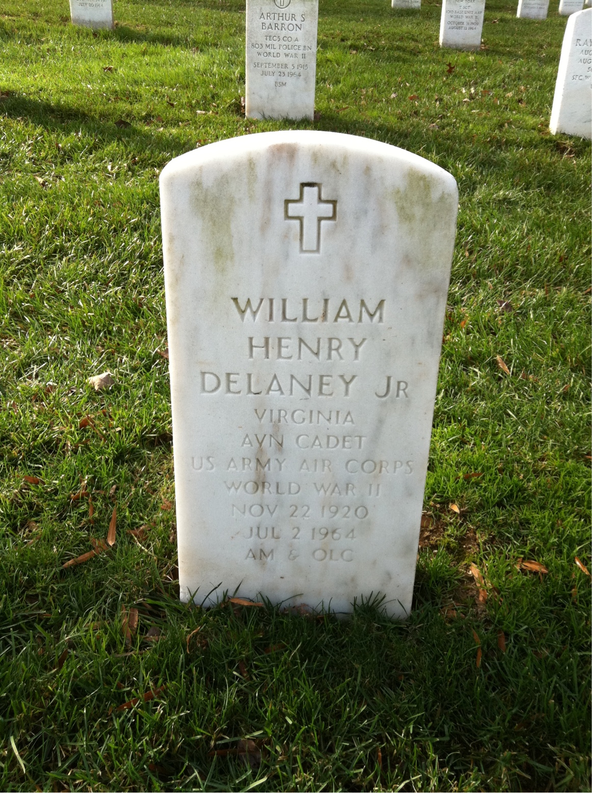 William V Delaney