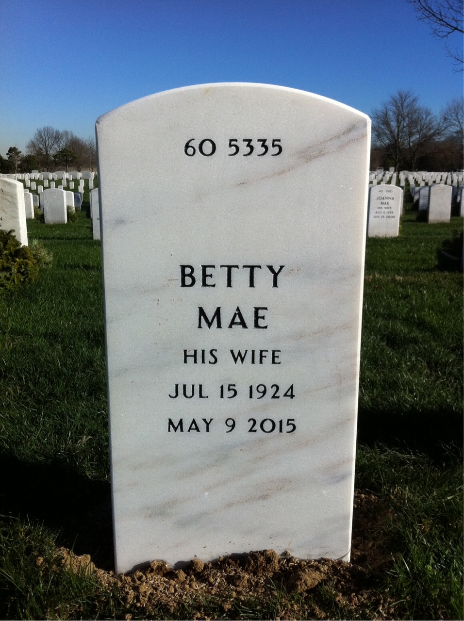 Back of headstone — William Ankley