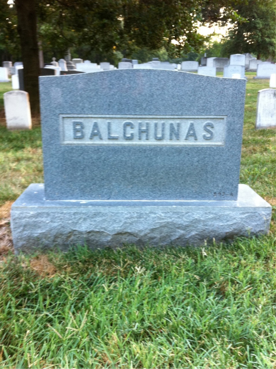 Back of headstone — George Balchunas
