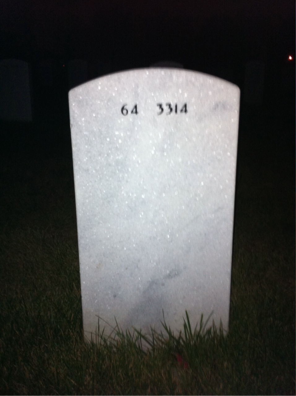 Back of headstone — Thornton Blizzard