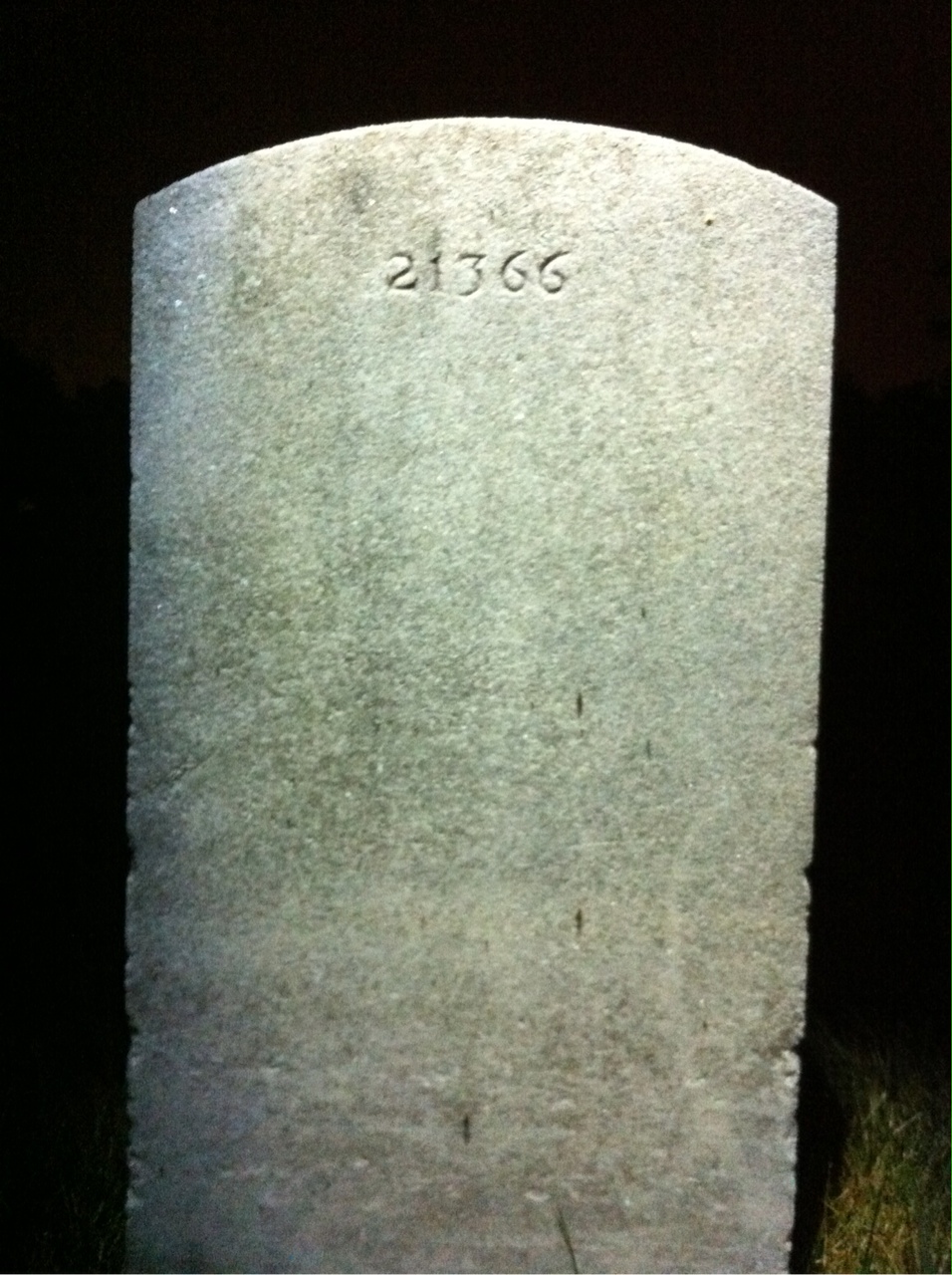 Back of headstone — Francis Morton
