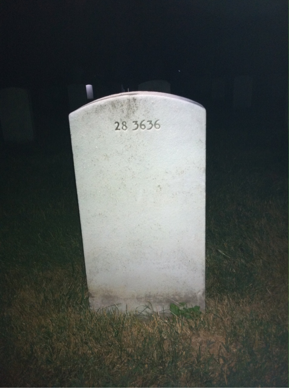 Back of headstone — Willie L Johnson