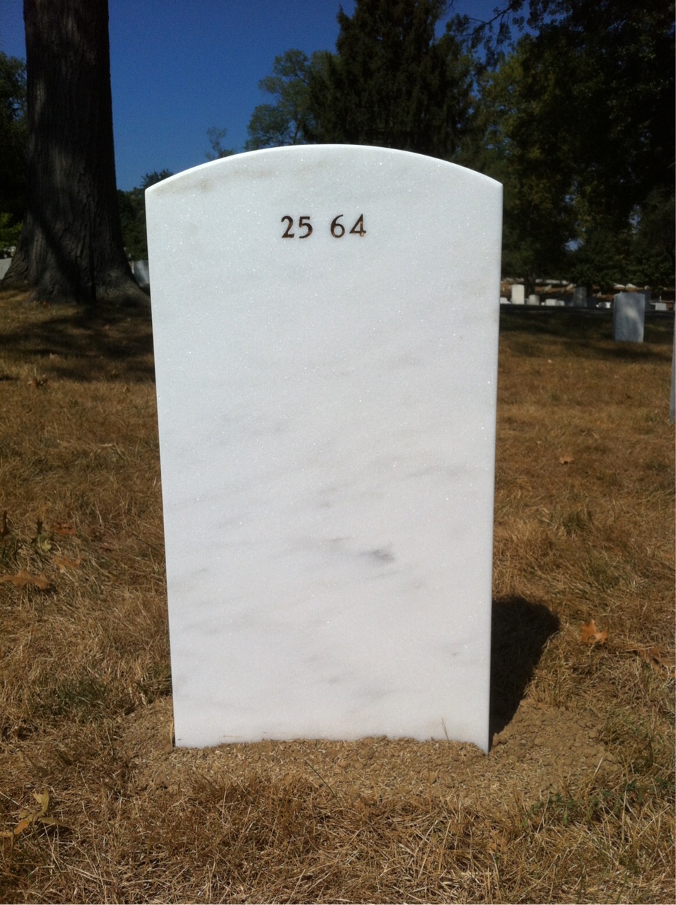 Headstone of Henry Johnson
