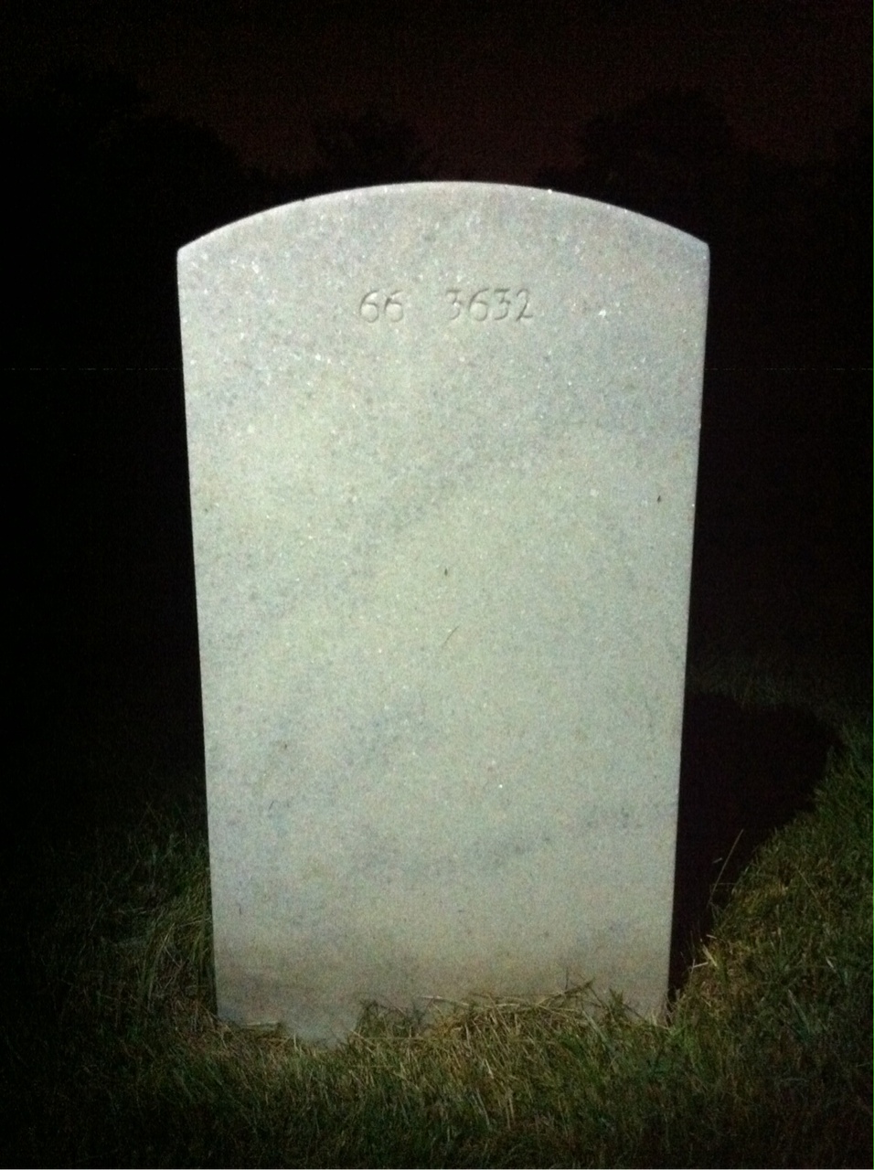Back of headstone — Leon Albin