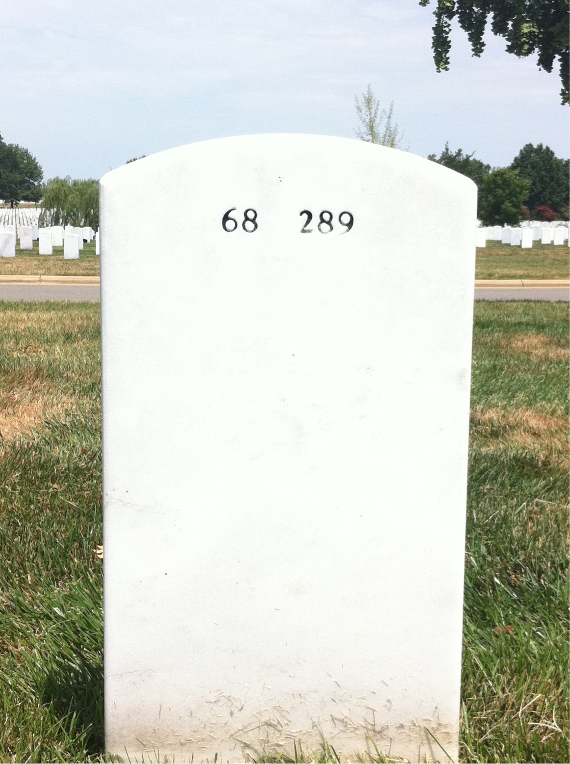 Back of headstone — Thomas Conway