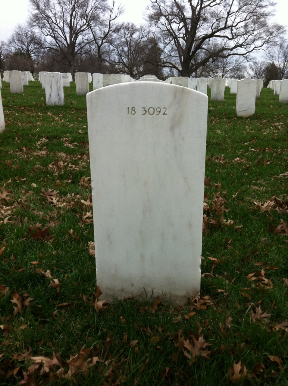 Back of headstone — Nelvry Cox