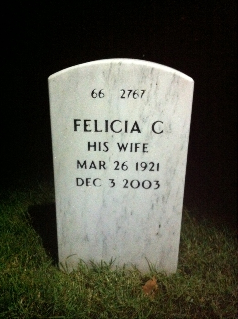 Back of headstone — Repsie Sneed