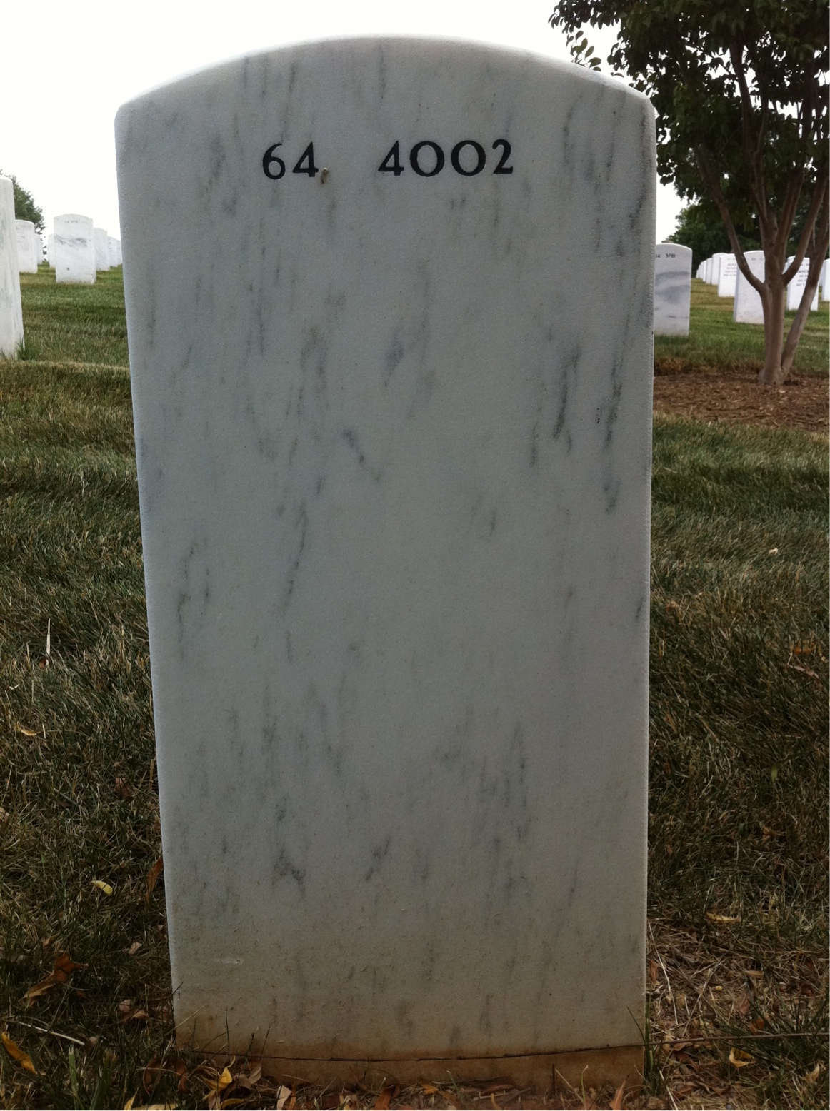 Back of headstone — Thomas Martin Mclaughlin