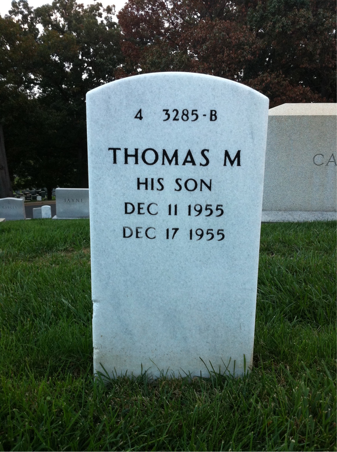 Back of headstone — Thomas Newsome