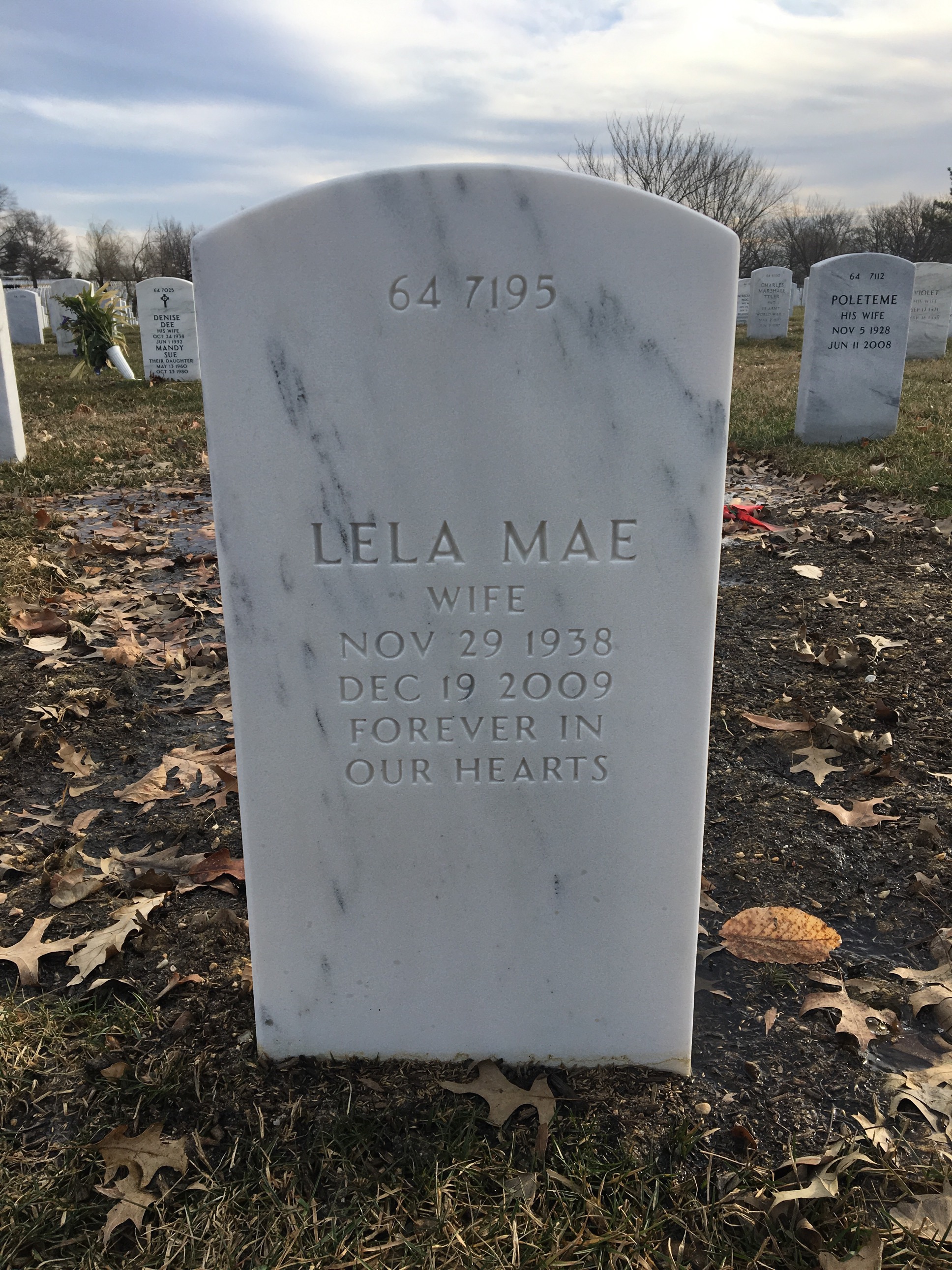 Back of headstone — Wallace Johnson