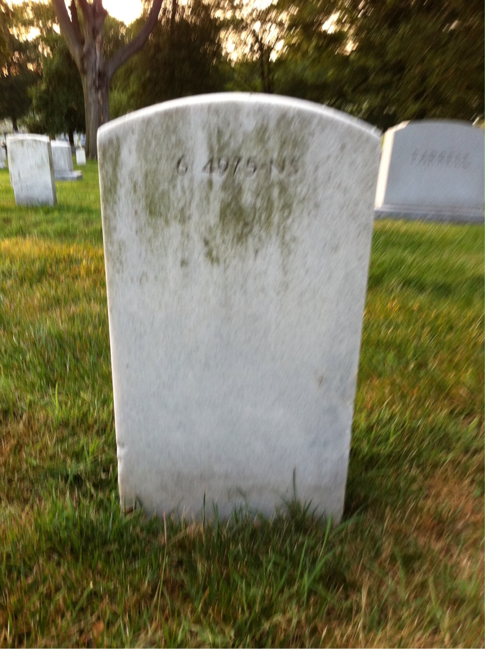Back of headstone — Lucy Mitchell