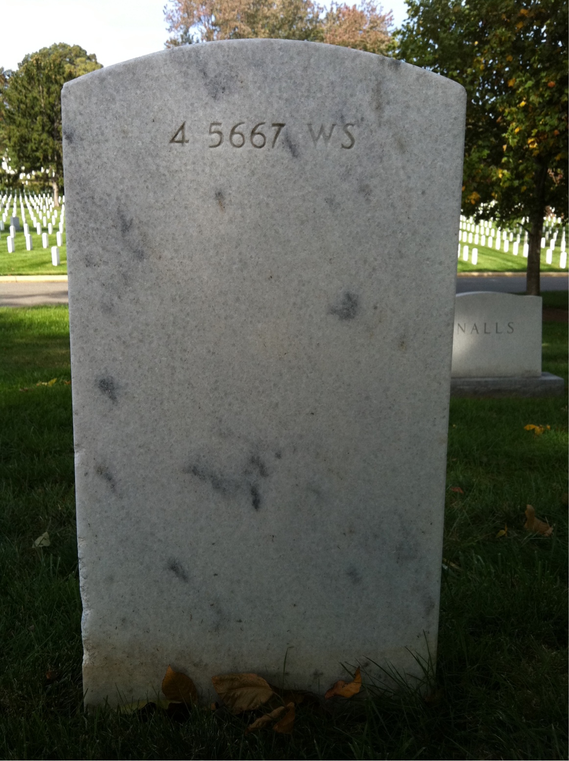 Back of headstone — Annette Mills