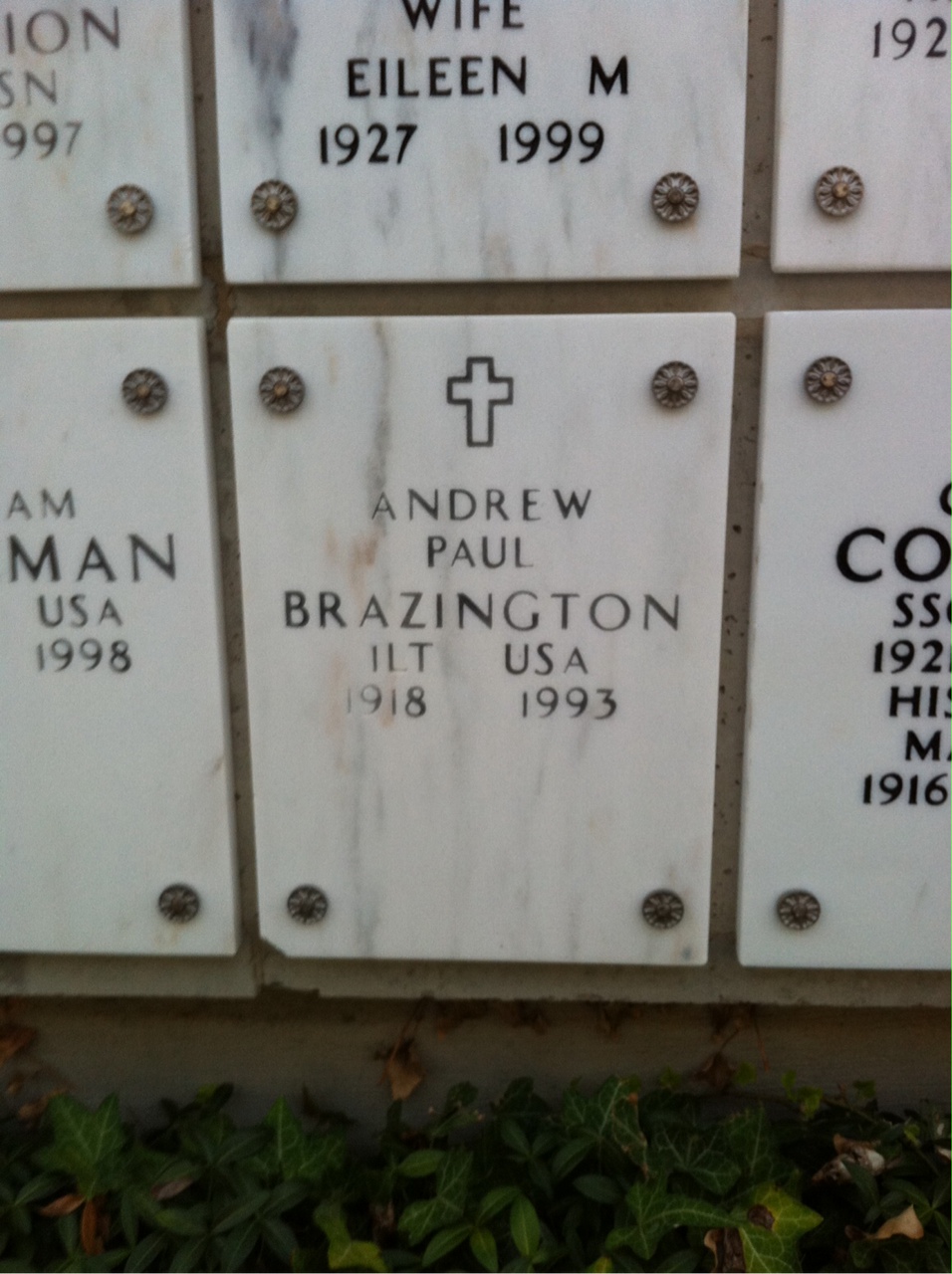 Andrew P Brazington