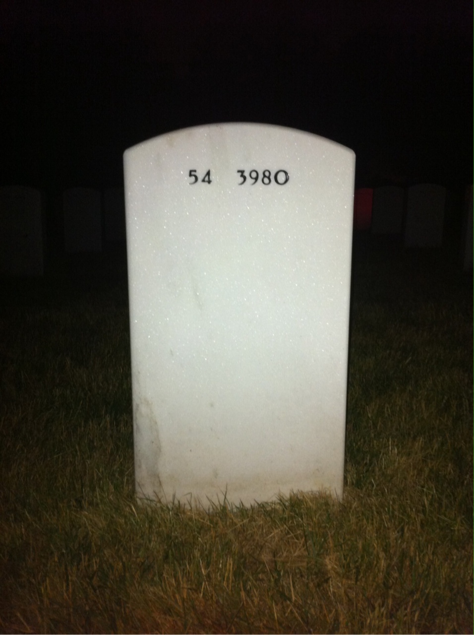 Back of headstone — Lee Coleman
