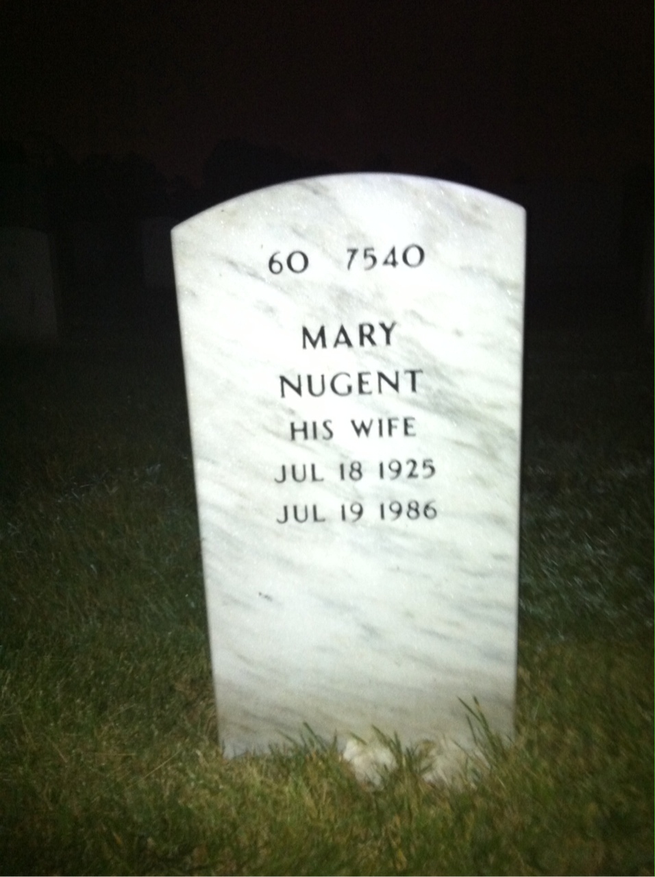Back of headstone — Francis Mcinerney