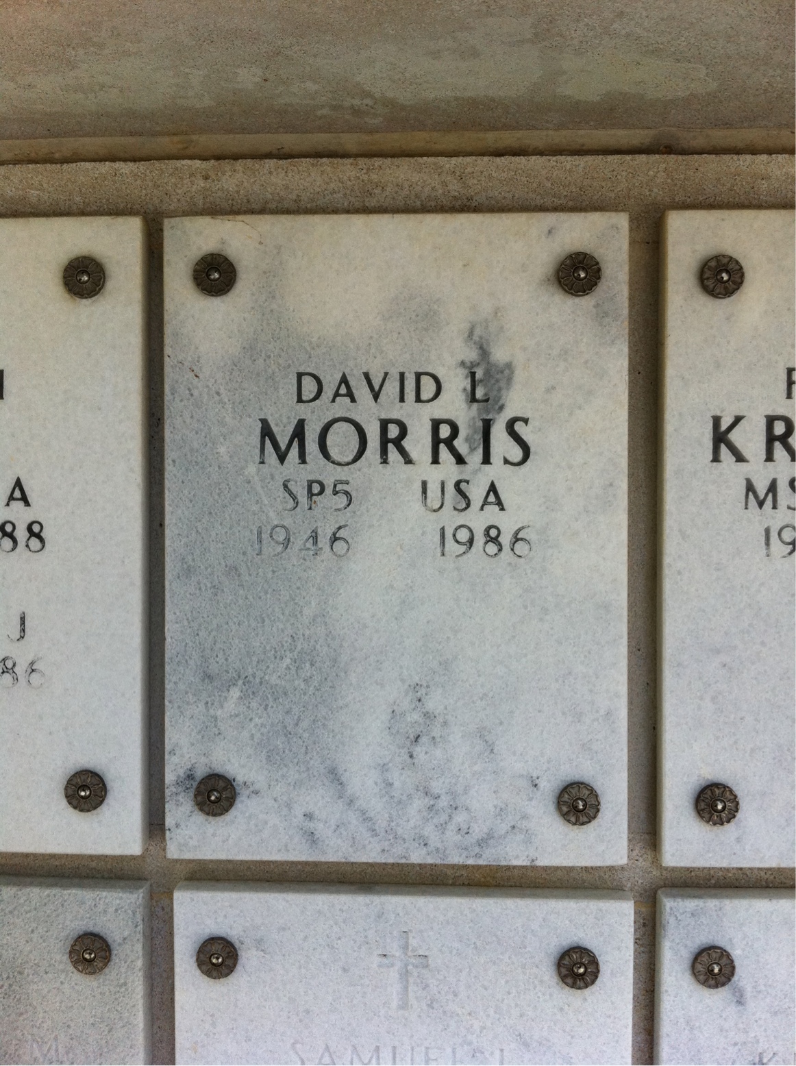 David Morris