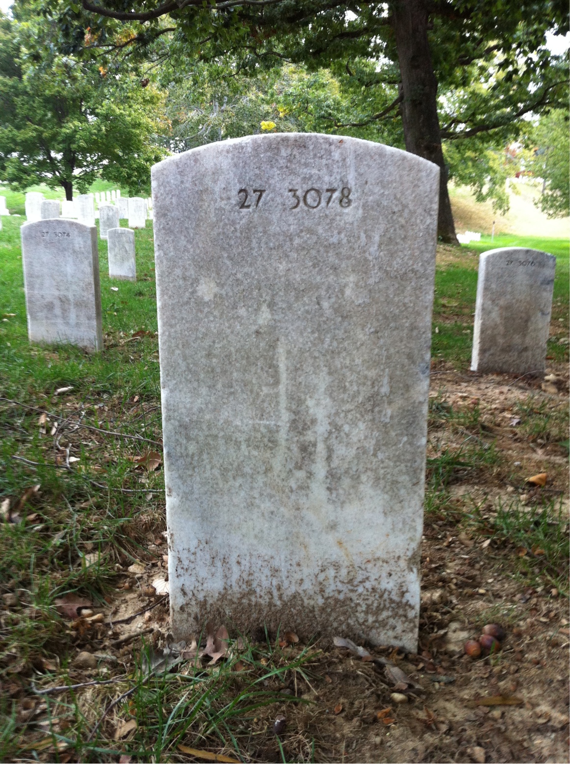 Back of headstone — Mary Moalton
