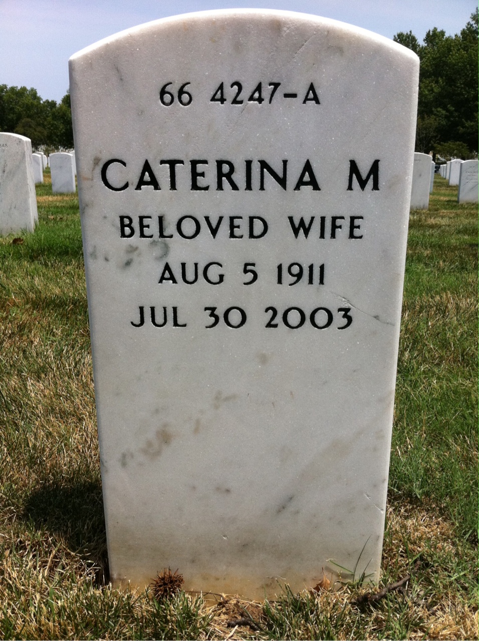 Back of headstone — James Thornton