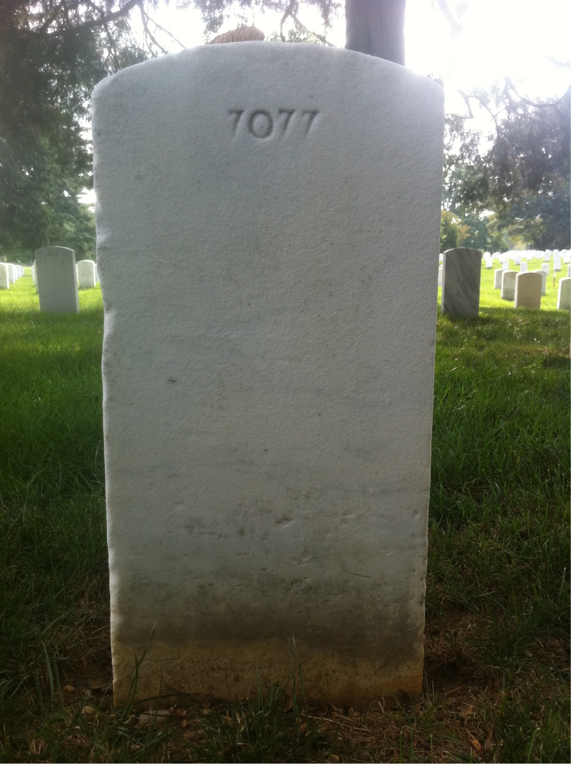 Back of headstone — Leo Amolini