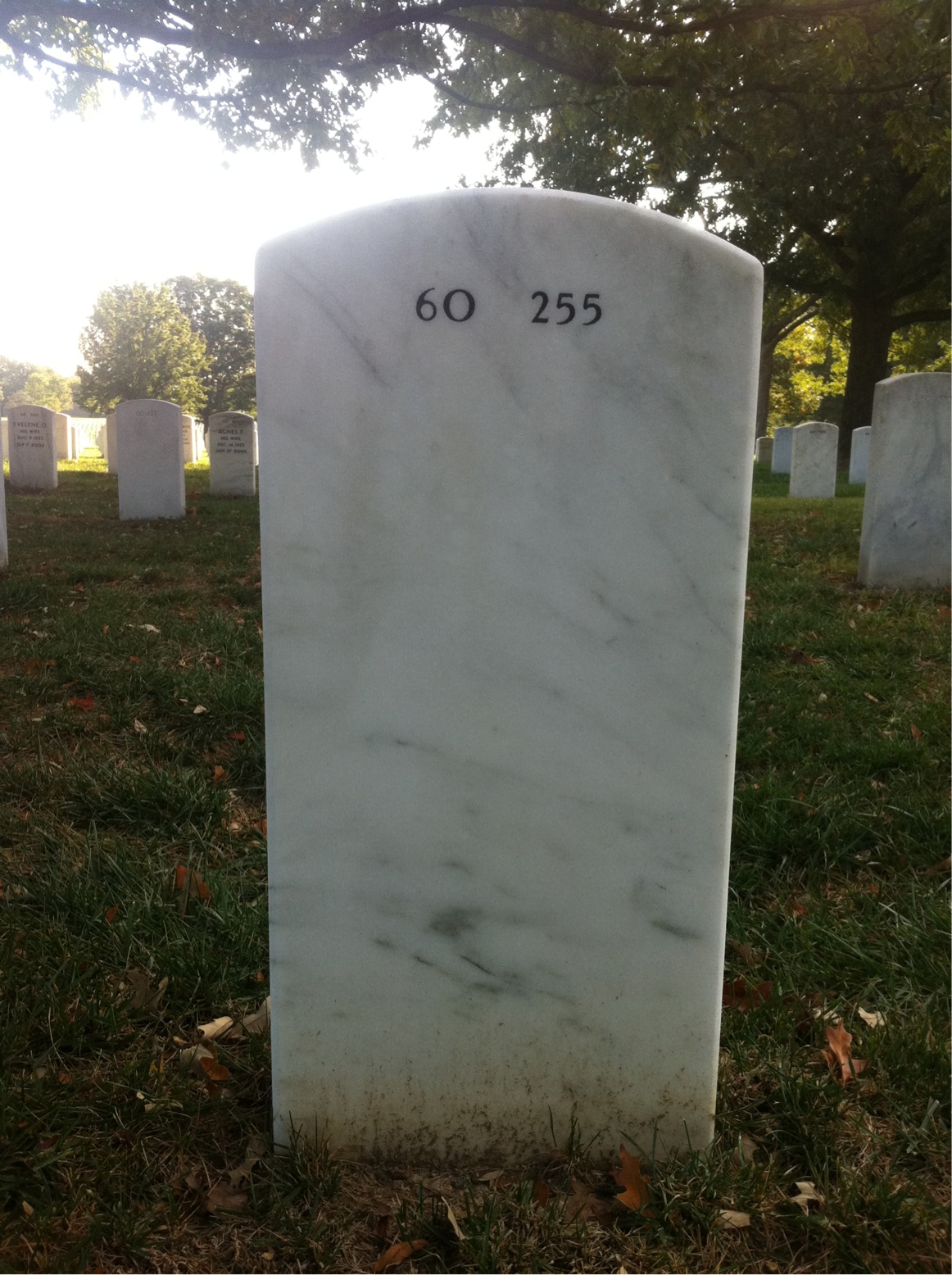 Back of headstone — Hiram Johnson