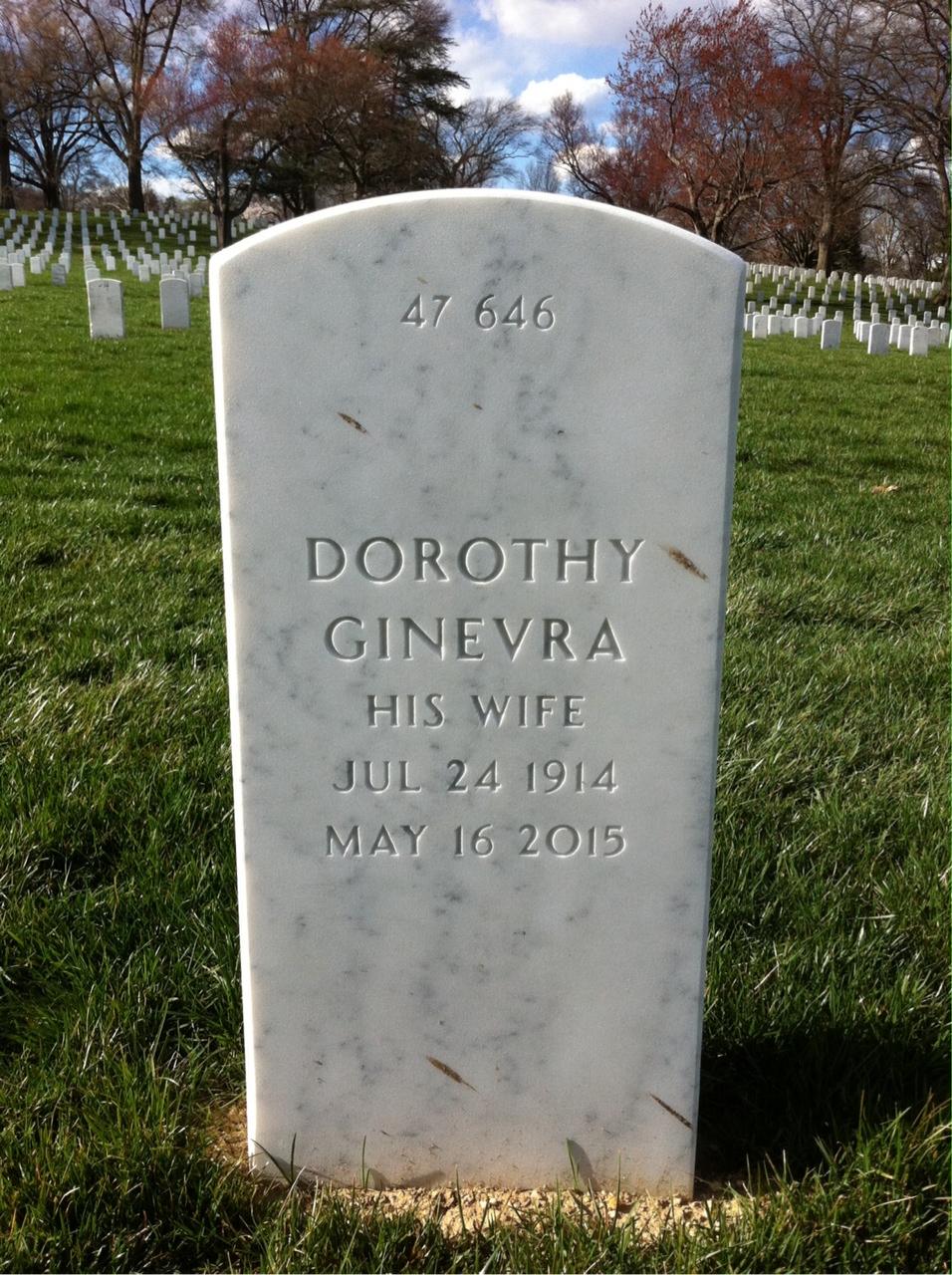 Back of headstone — Harry Skinner