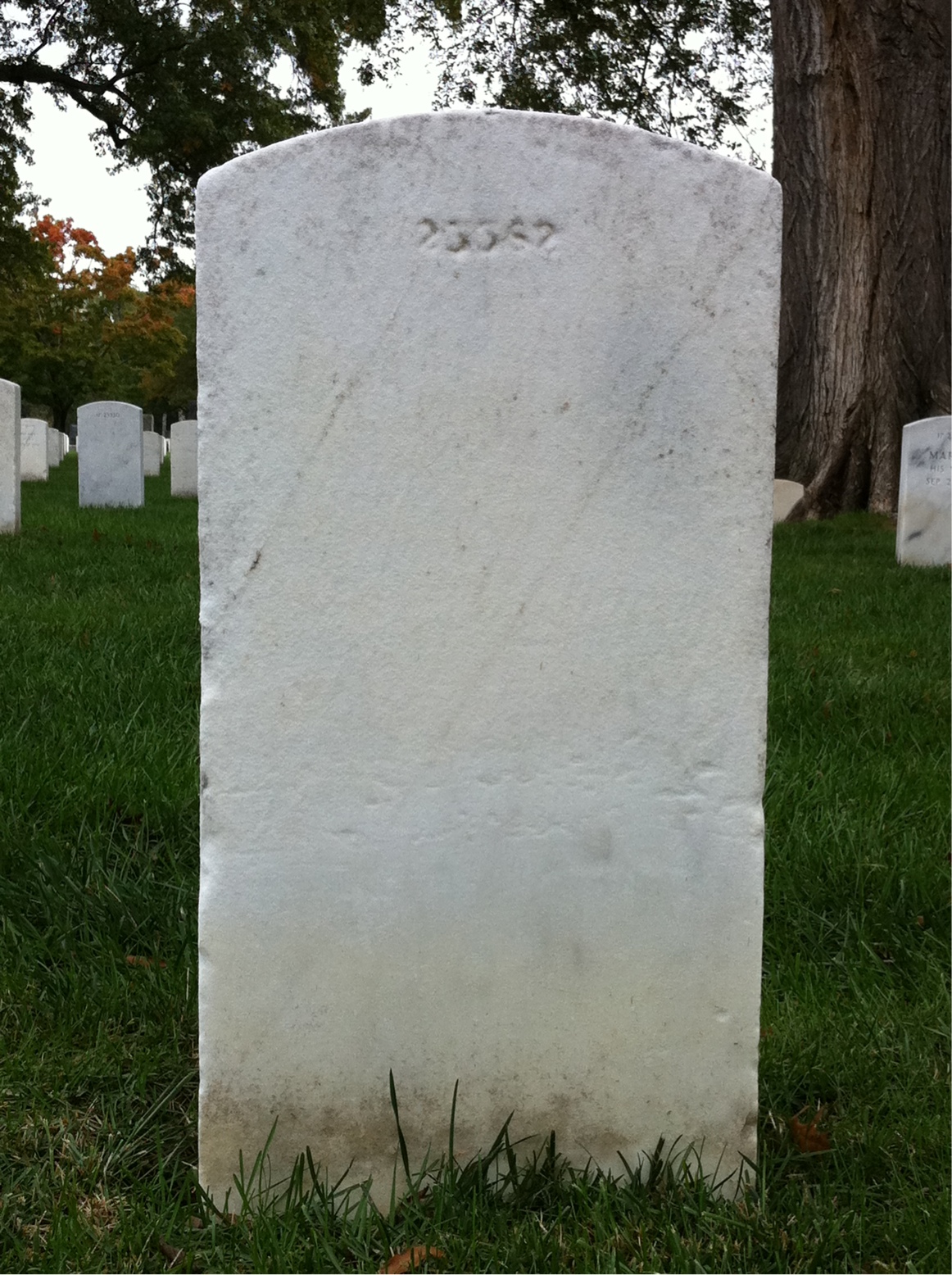 Back of headstone — William Crimmin