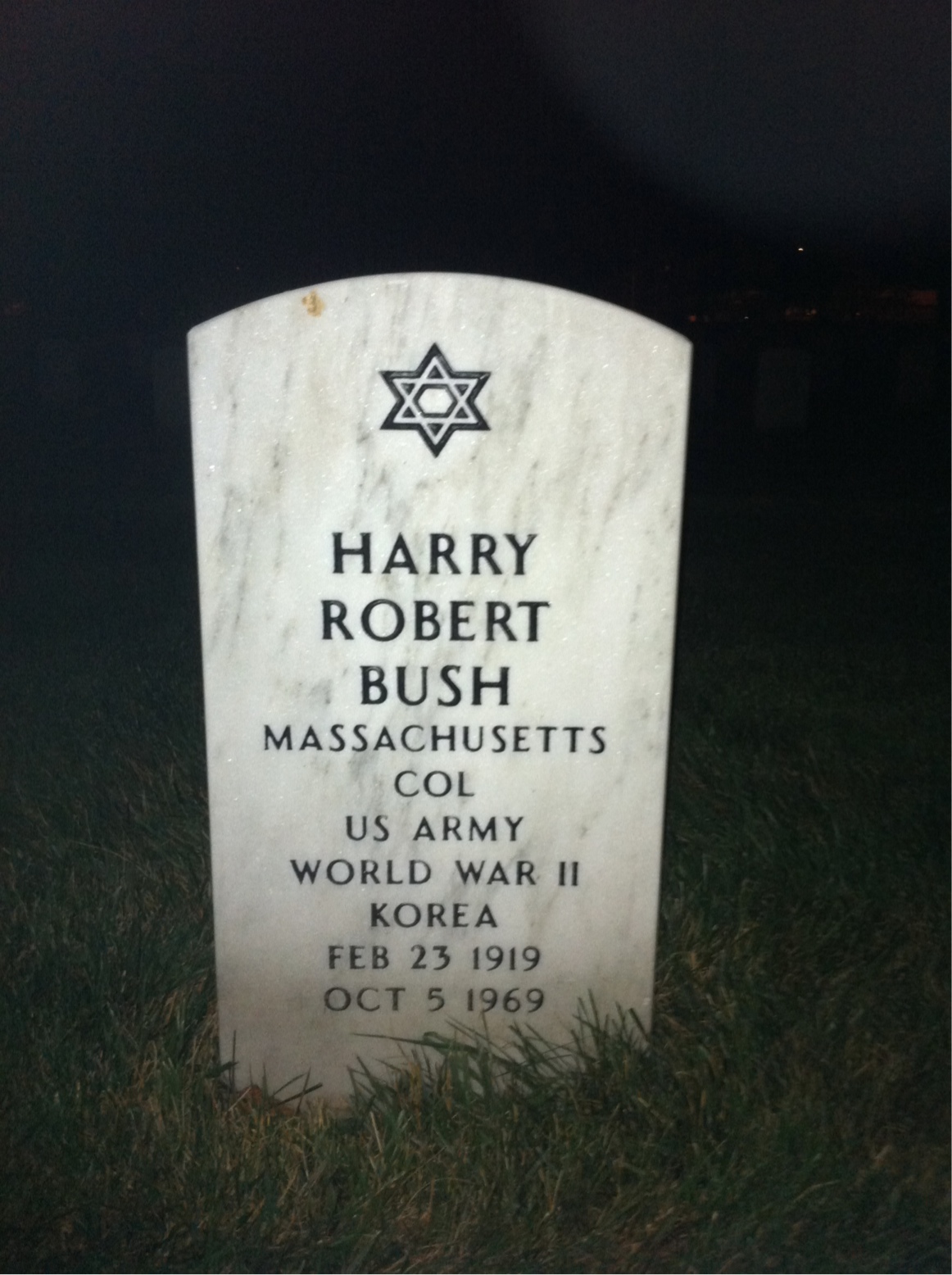 Harry Bush