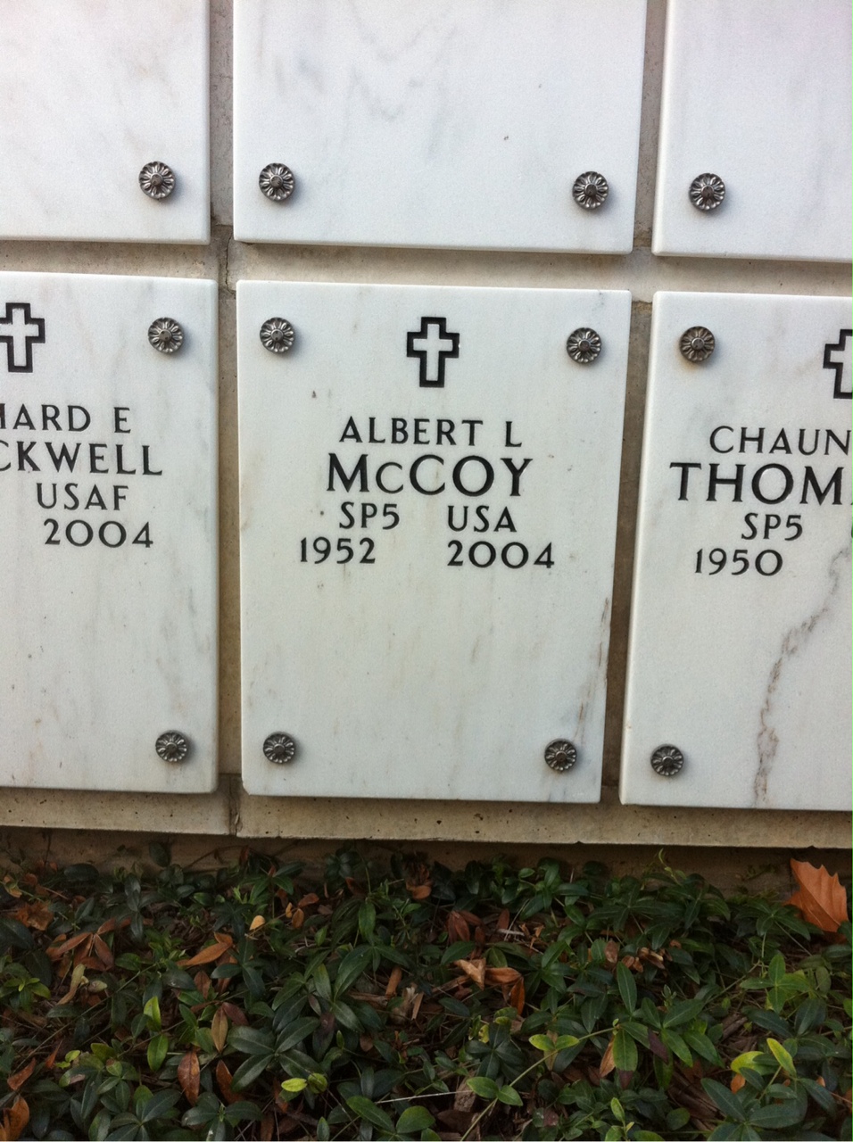 Albert Mccoy