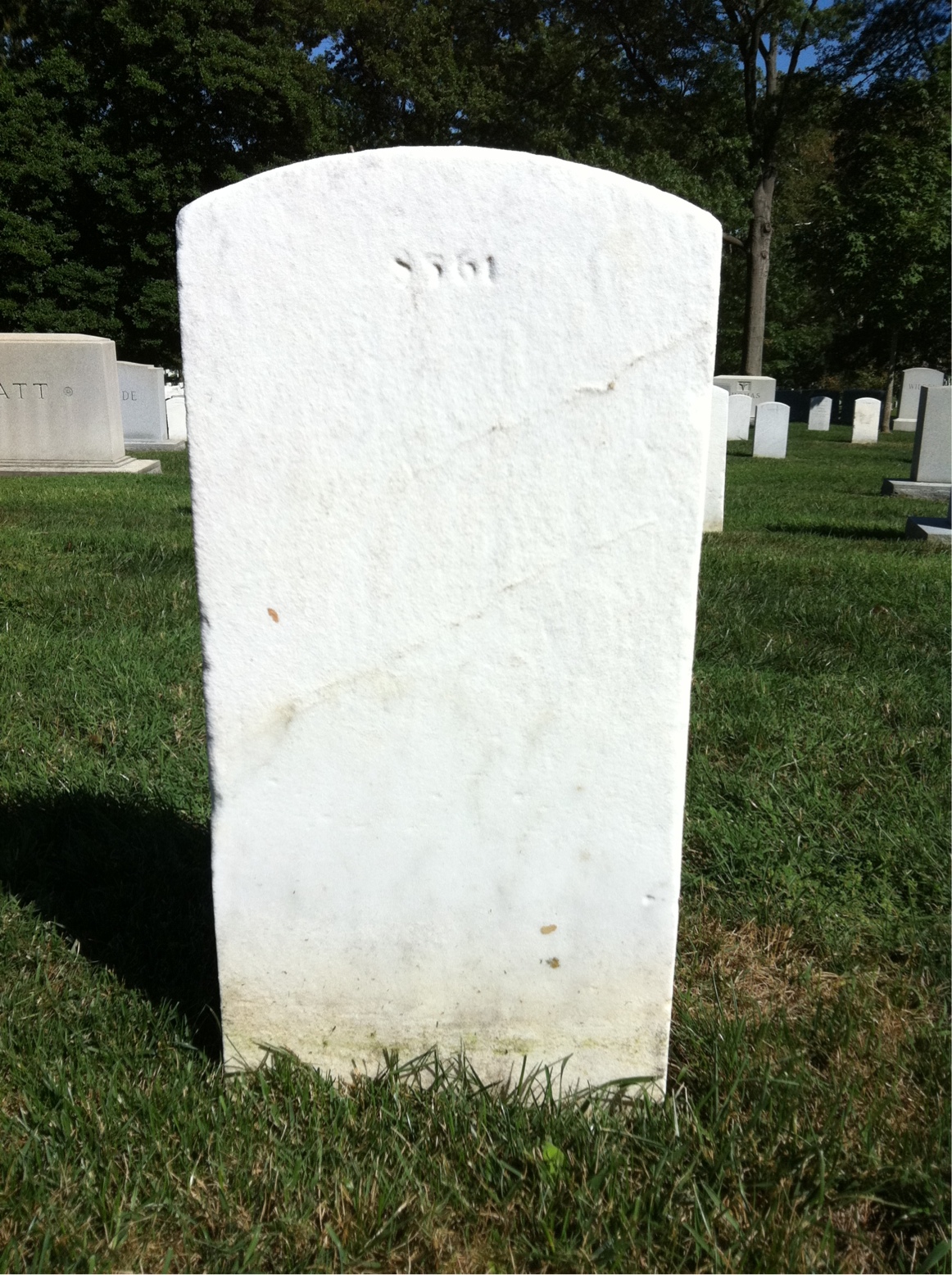Back of headstone — Harry Murray