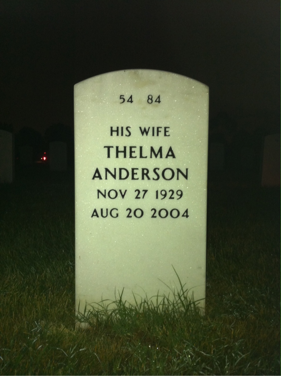 Back of headstone — Jerome Williams