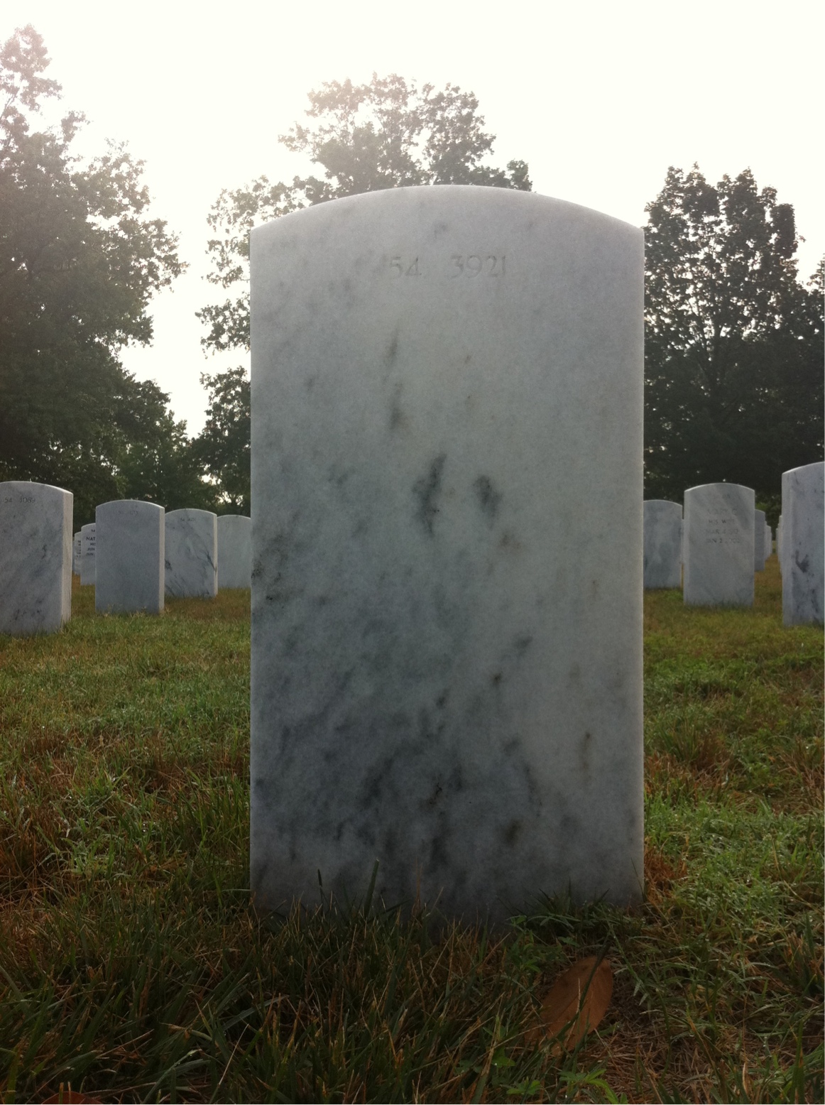 Back of headstone — Harry Breitstein