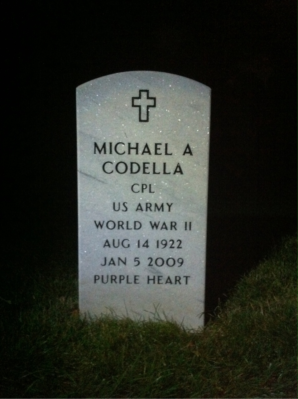 Michael Codella
