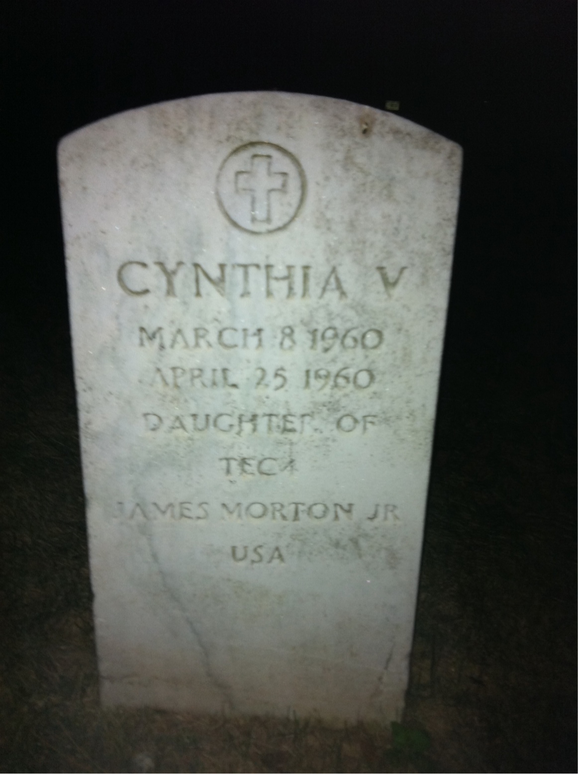 Cynthia Morton