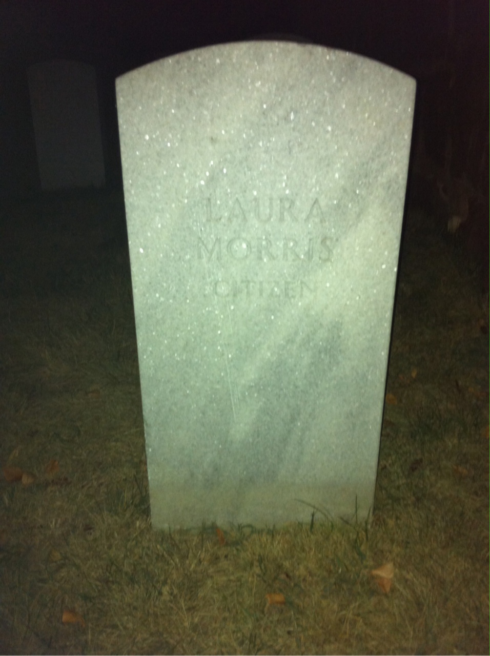 Laura Morris