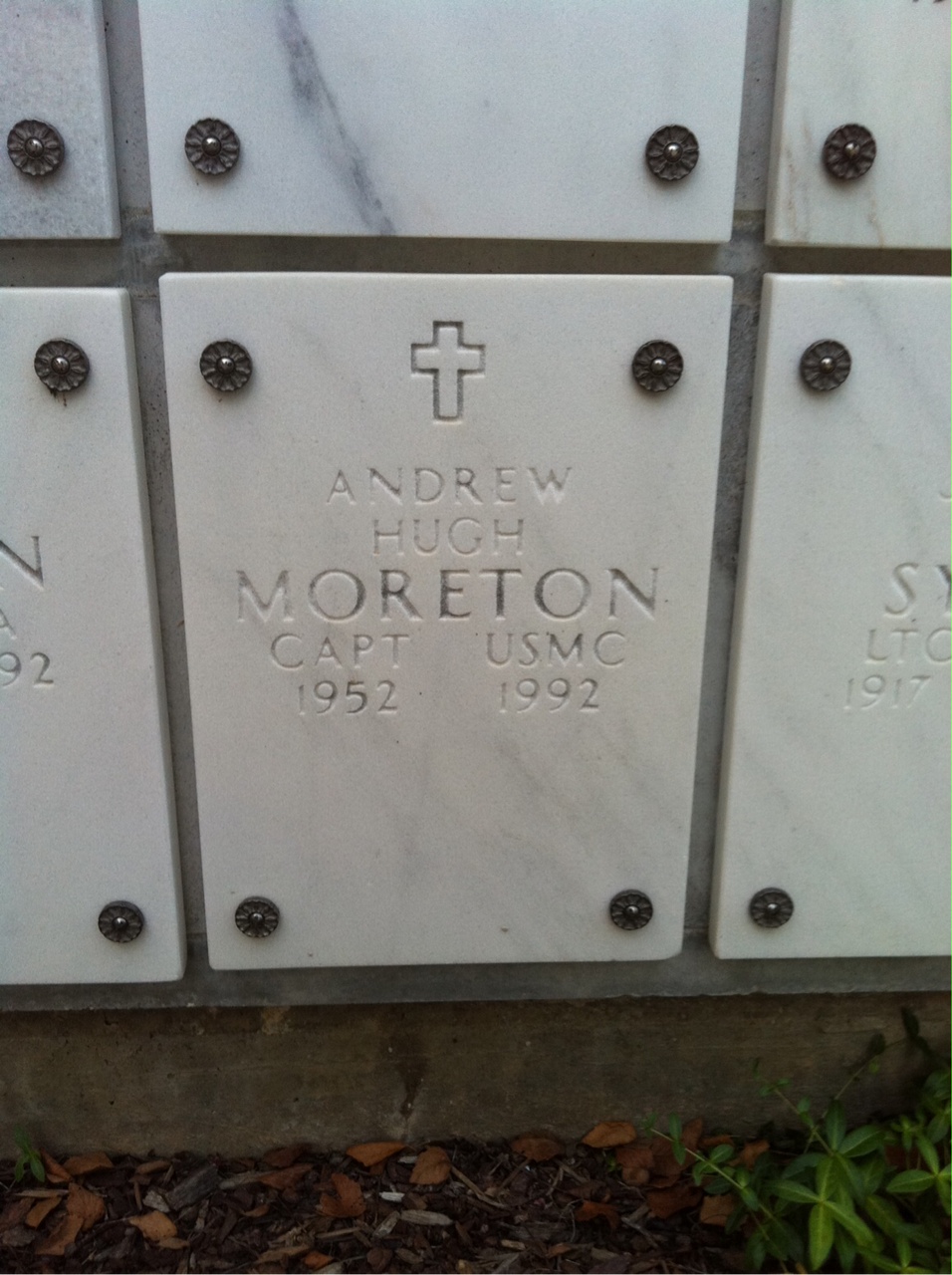 Andrew Moreton