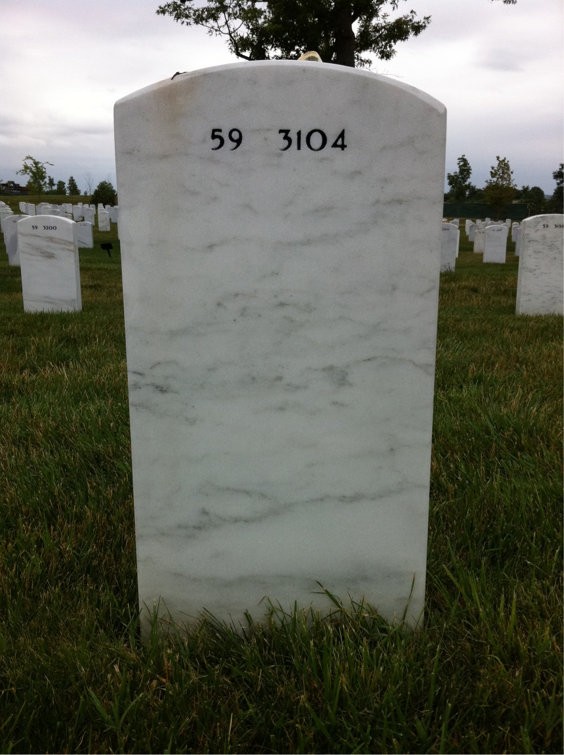 Back of headstone — James Griffis