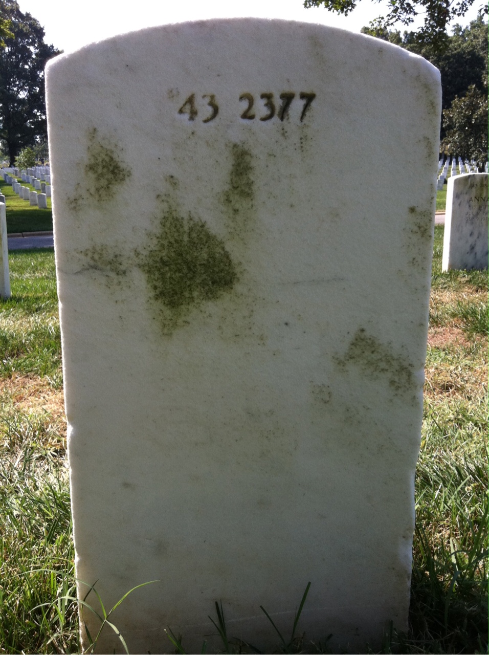 Back of headstone — Harlis Moss