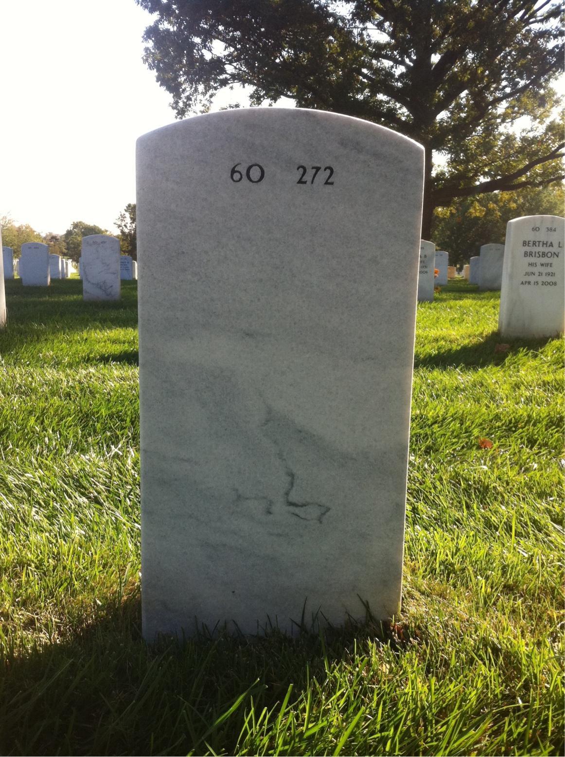 Back of headstone — John Woolshlager
