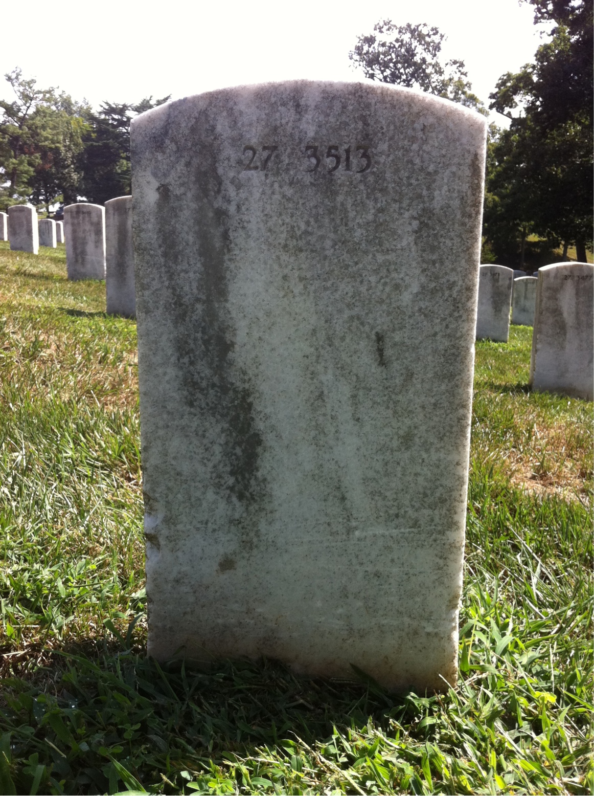 Back of headstone — Sarah Collins