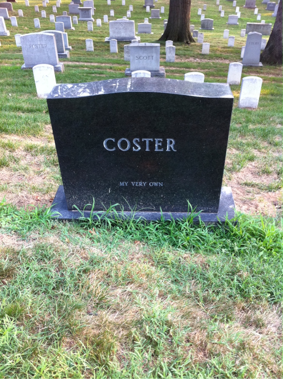 Back of headstone — Clarence Coster