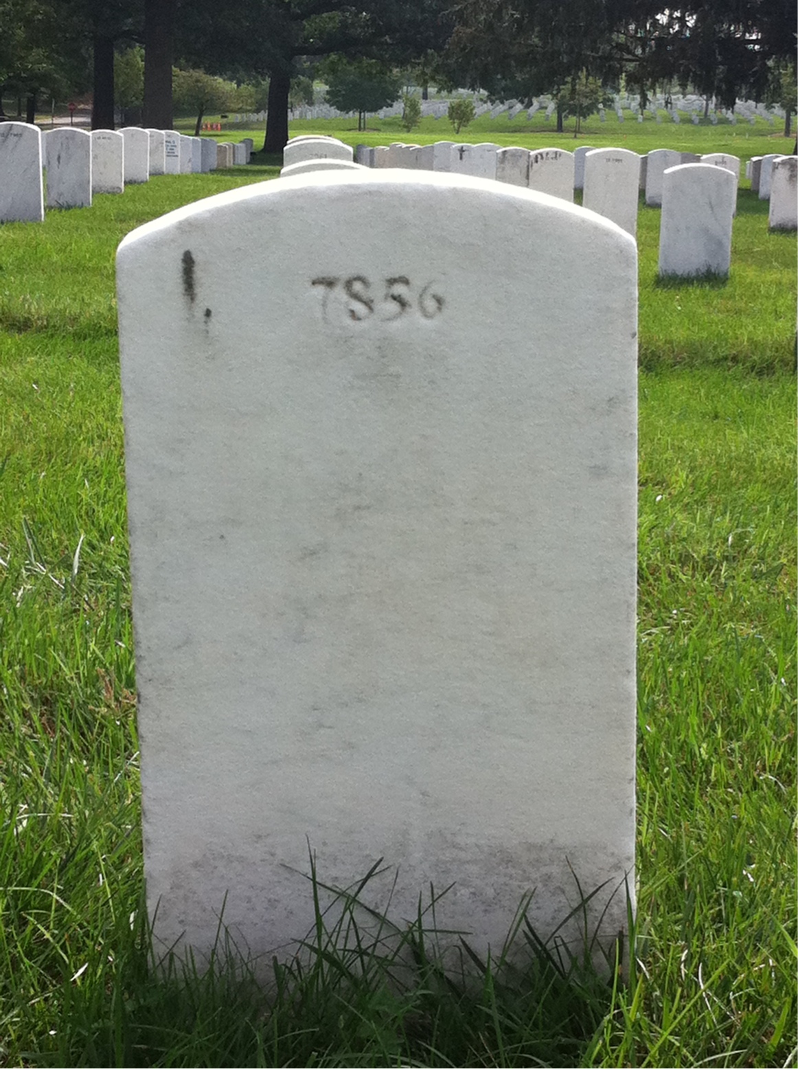 Back of headstone — Randolph Murray