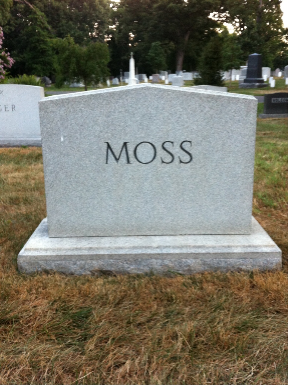 Back of headstone — James Moss