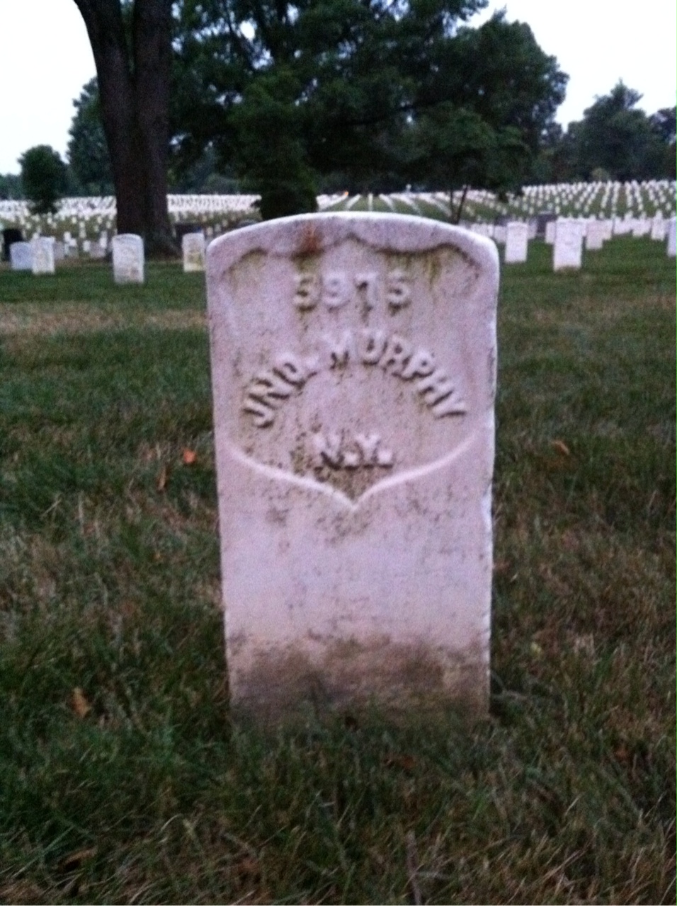 John Murphy